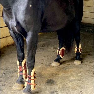 Beautiful Frank Baines Equine boots cleaned very stylish now obsolete